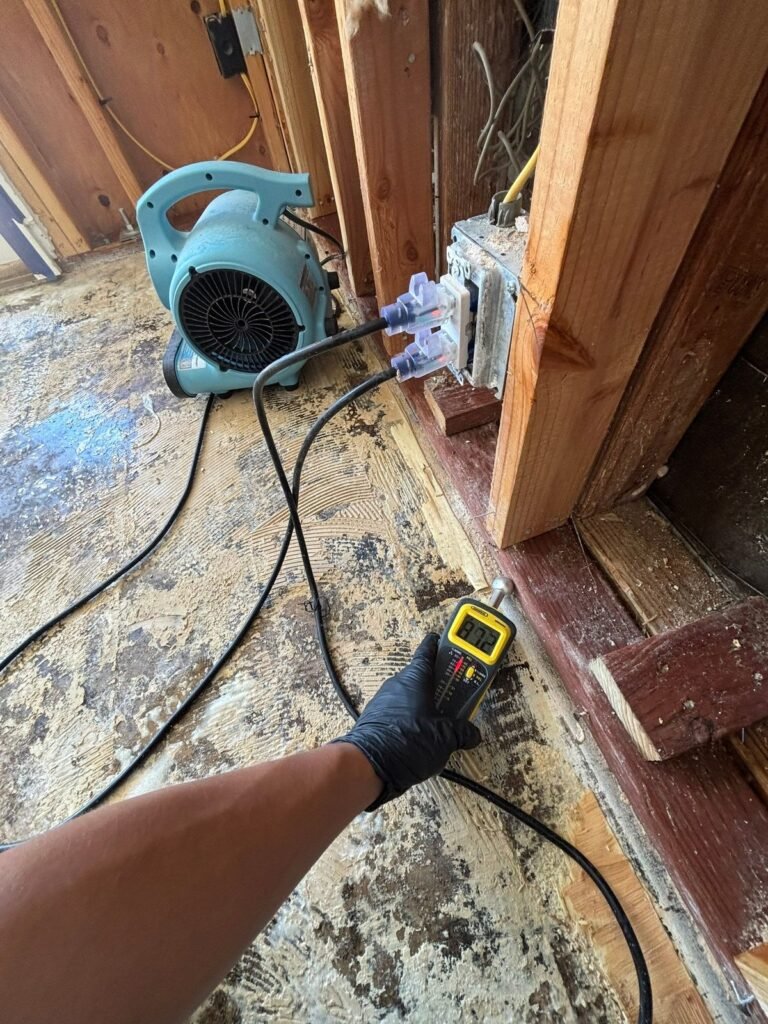 A gloved hand taking a reading on wood beside a blue air mover in Santa Ana
